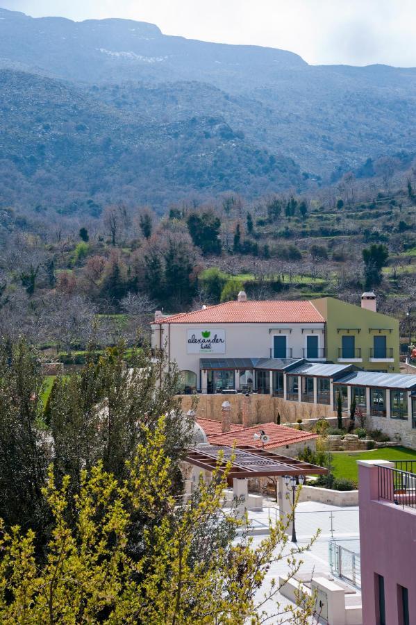 Hotel Alexander Mountain 3*