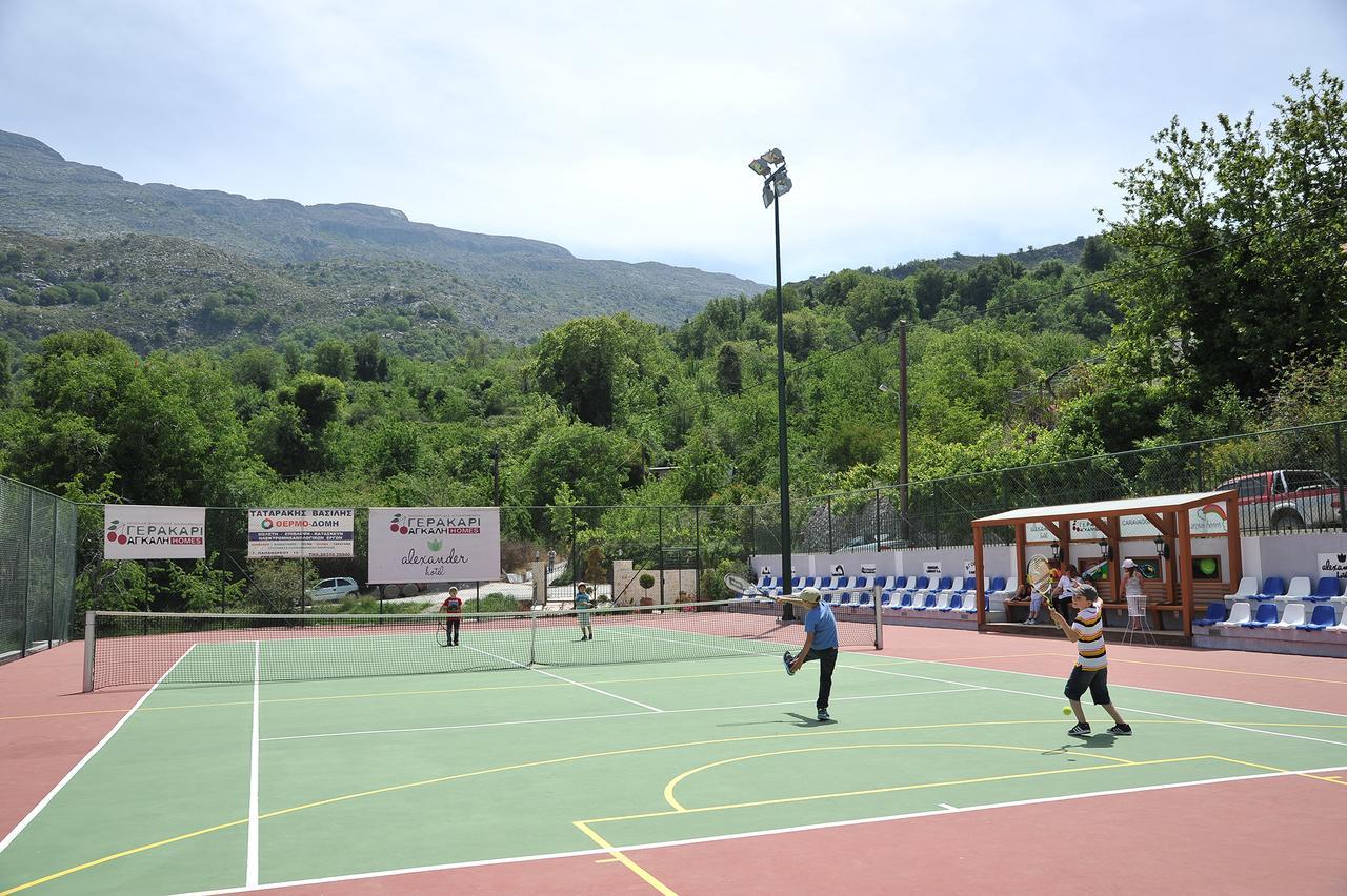 Ξενοδοχείο Alexander Mountain 3*