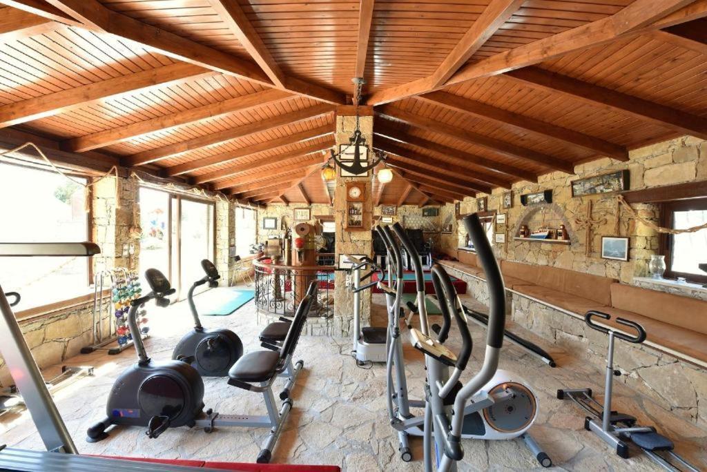 Alexander Mountain מלון 3*